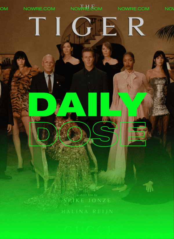 粤有钱配资 GUCCI《THE TIGER》电影来了