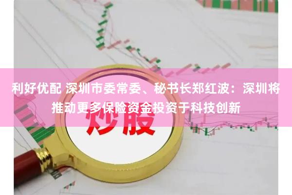 利好优配 深圳市委常委、秘书长郑红波：深圳将推动更多保险资金投资于科技创新